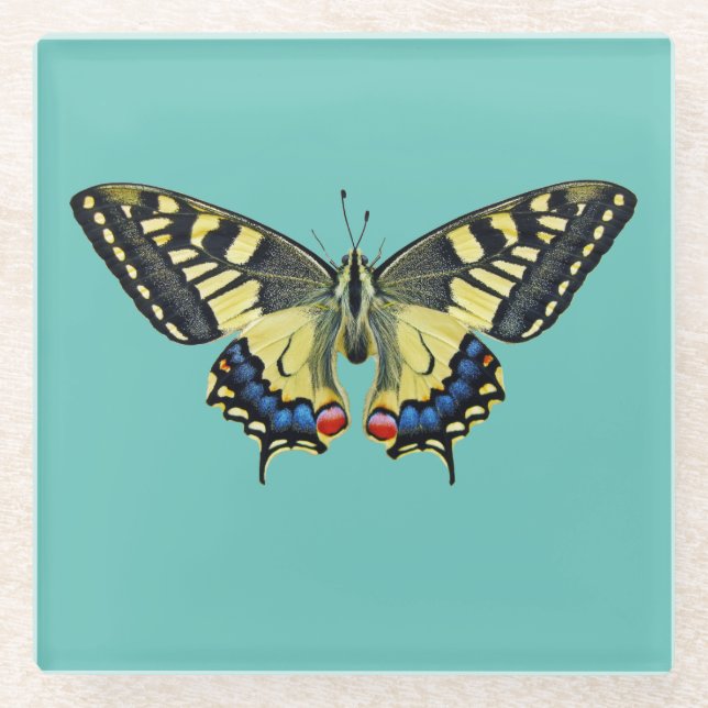 Gelber und schwarzer Schmetterling Glasuntersetzer (Vorderseite)