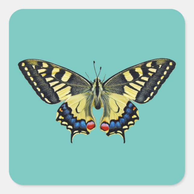 Gelber und schwarzer Schmetterling Quadratischer Aufkleber (Vorderseite)