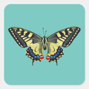 Gelber und schwarzer Schmetterling Quadratischer Aufkleber