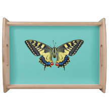 Gelber und schwarzer Schmetterling