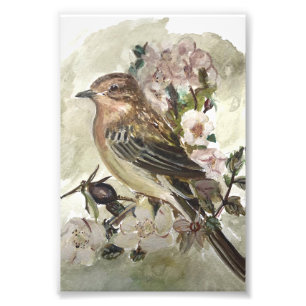 Gelber Wagenhalsgarten-Vogelfarbe Fotodruck