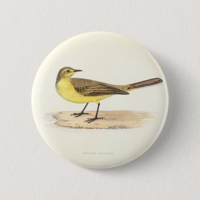 Gelber Wagtail-Knopf Button (Vorderseite)