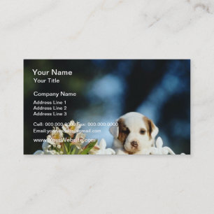 Gelber Welpe mit den braunen Ohren, die über Visitenkarte