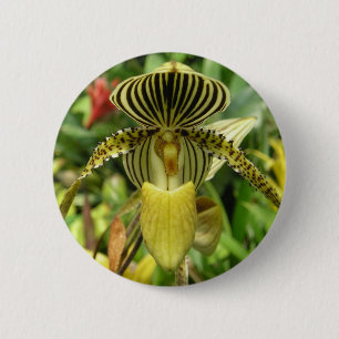 Gelber Zebra Stripes Orchidee Button
