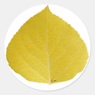Gelbes Aspen-Leaf #5 Runder Aufkleber