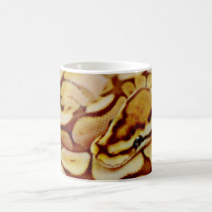Gelbes Ball-Pythonschlange-wirklich nahes hohes Tasse