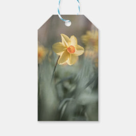 Gelbes Blossom Dinatriumnatur-Foto Geschenkanhänger