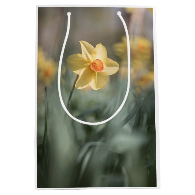 Gelbes Blossom Dinatriumnatur-Foto Mittlere Geschenktüte (Vorderseite)