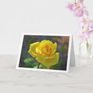 Gelbes Blumenrosenporträt Karte