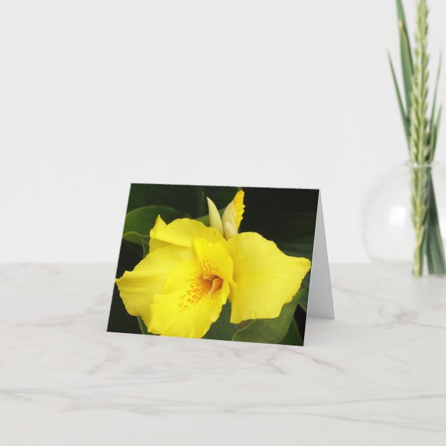 Gelbes Canna Karte (Vorderseite)