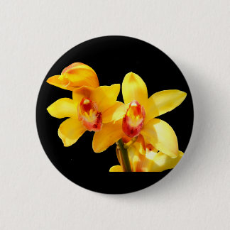Gelbes Cymbidium Orchid-Abzeichen Button