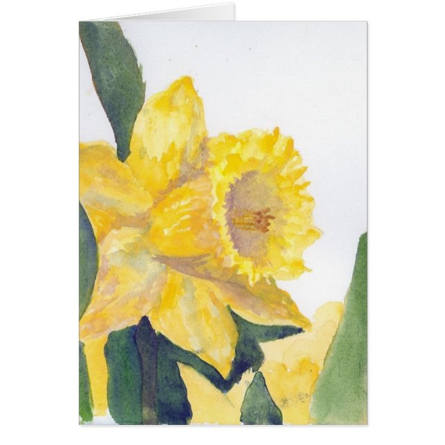 Gelbes Daffodil (Vorne)