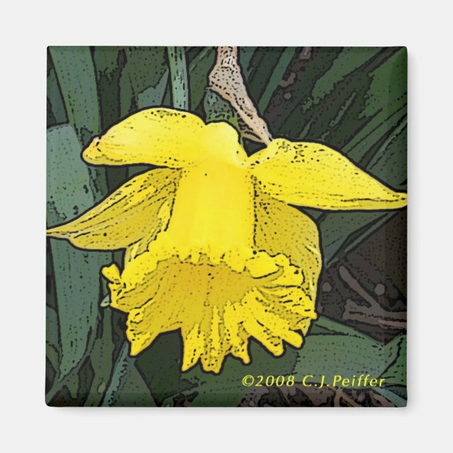 'Gelbes Daffodil' Magnet (Vorne)