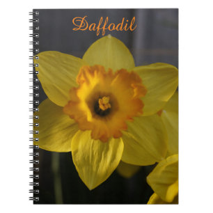Gelbes Daffodil Notizblock