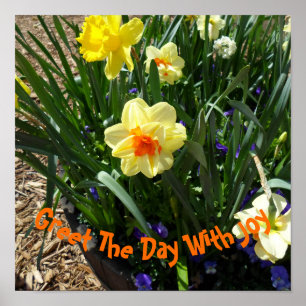 Gelbes Daffodil Poster