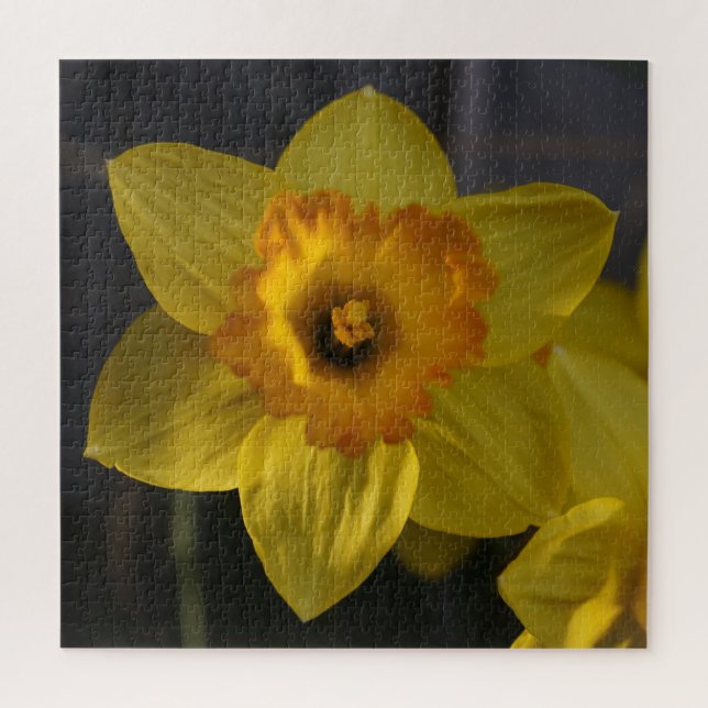 Gelbes Daffodil Puzzle (Vertikal)
