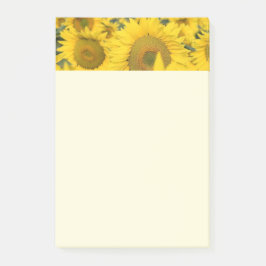 Gelbes Feld von Sonnenblumen Fotografie Post-it Klebezettel