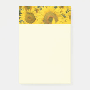 Gelbes Feld von Sonnenblumen Fotografie Post-it Klebezettel