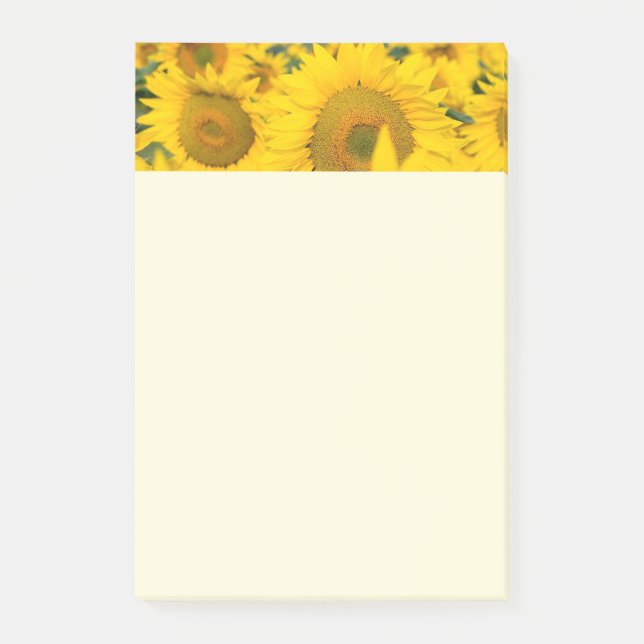 Gelbes Feld von Sonnenblumen Fotografie Post-it Klebezettel (Vorderseite)