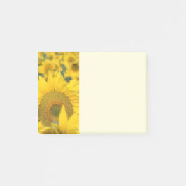 Gelbes Feld von Sonnenblumen Fotografie Post-it Klebezettel
