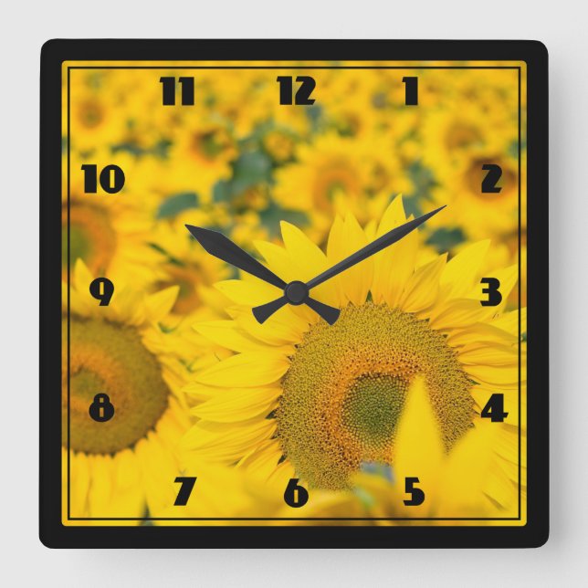 Gelbes Feld von Sonnenblumen Fotografie Quadratische Wanduhr (Vorderseite)