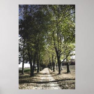 gelbes Forrest Gump Plakat