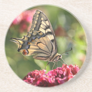 Gelbes Frack Butterfly Untersetzer