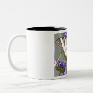 Gelbes Frack für Lilac-Blume Schwarz O Zweifarbige Tasse