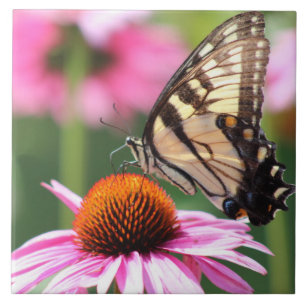 Gelbes Frack Schmetterling Keramik Tile Fliese