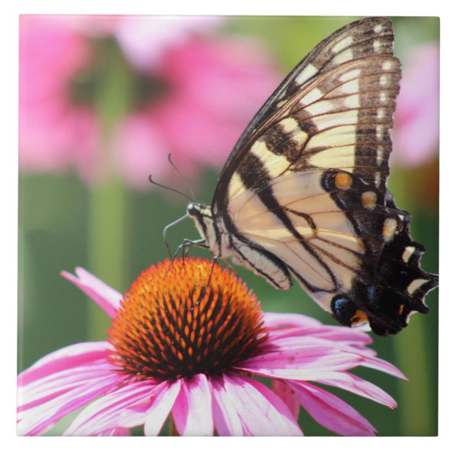 Gelbes Frack Schmetterling Keramik Tile Fliese (Vorderseite)