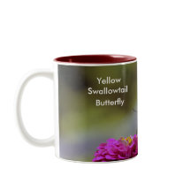 Gelbes Frack, Schmetterling