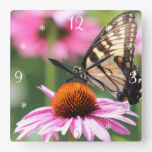 Gelbes Frack Schmetterlingshaube