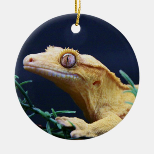 Gelbes Gecko-Stillstehen mit Haube Keramikornament (Vorne)