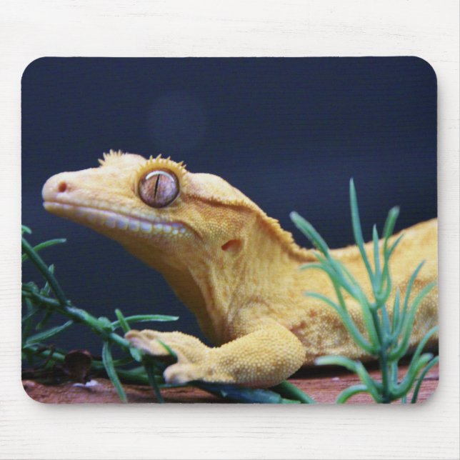 Gelbes Gecko-Stillstehen mit Haube Mousepad (Vorne)