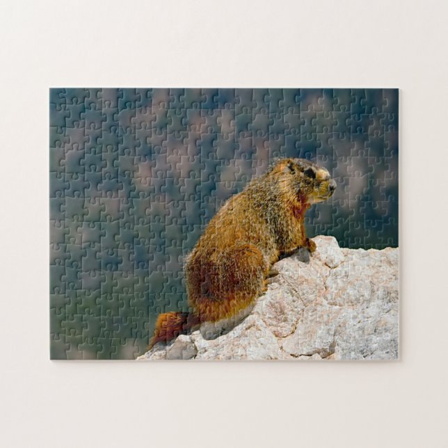 Gelbes Gelbbblies Marmot Utah. Puzzle (Horizontal)