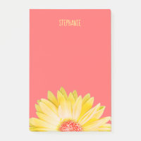 Gelbes Gerbera-Gänseblümchen auf Koralle