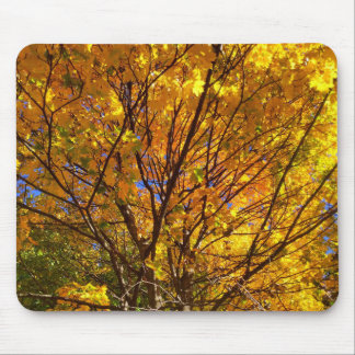 Gelbes Herbstlaub Mousepad