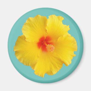 Gelbes Hibiskusblüten-Foto Magnet