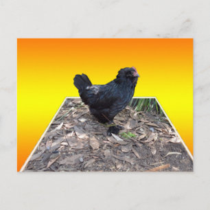 Gelbes Huhn Pop Aussichtskarte Postkarte