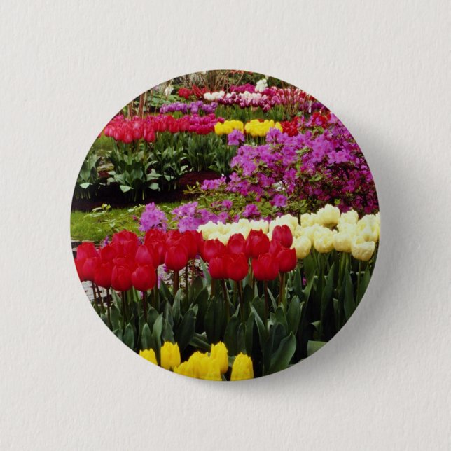 gelbes Keukenhof arbeitet, Amsterdam, die Button (Vorderseite)