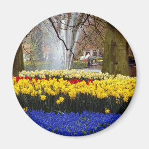 gelbes Keukenhof arbeitet, Amsterdam, die Magnet