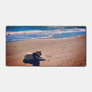 Gelbes Labrador am Coolen Sandstrand Schreibtischunterlage