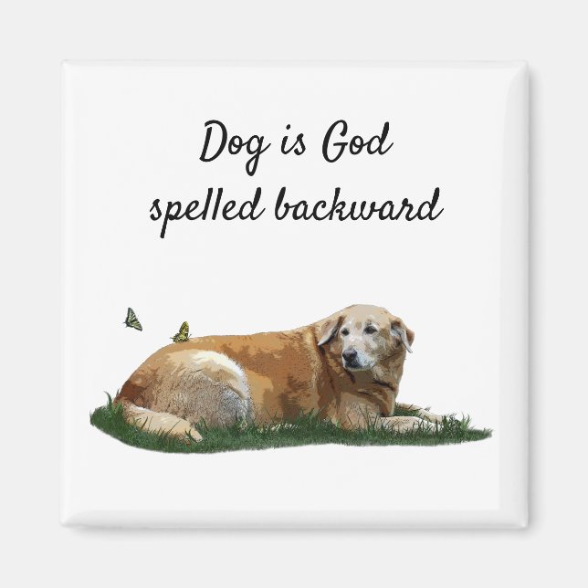 Gelbes Labrador gemischte Rasse Dog Magnet (Vorne)