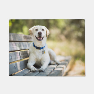 Gelbes Labrador liegt auf der Bank Fußmatte