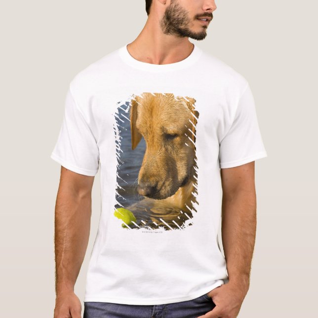 Gelbes Labrador mit einem Tennisball im Wasser T-Shirt (Vorderseite)
