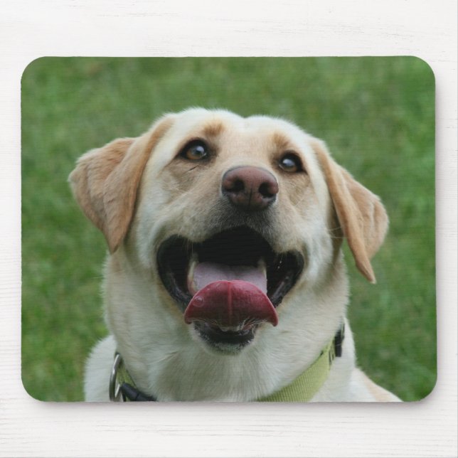 Gelbes Labrador mousepad (Vorne)