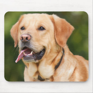 Gelbes Labrador Retriever Hund - Labrador Mousepad