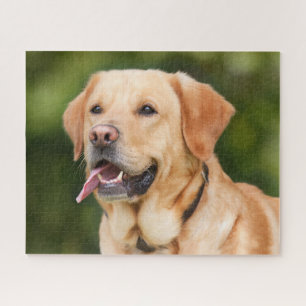 Gelbes Labrador Retriever Hund - Labrador Puzzle