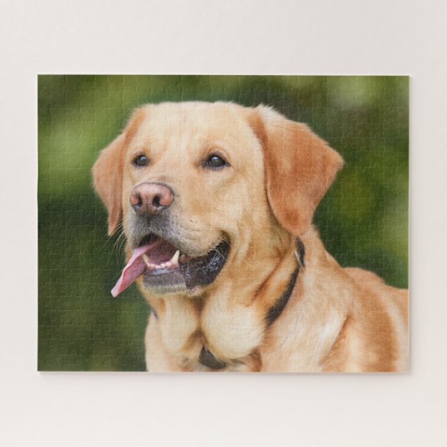 Gelbes Labrador Retriever Hund - Labrador Puzzle (Horizontal)