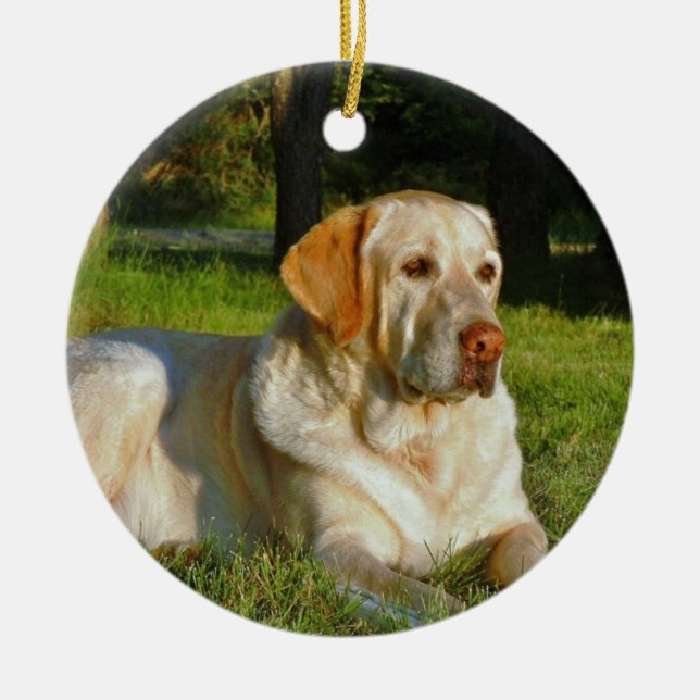 Gelbes Labrador retriever Keramik Ornament (Vorne)